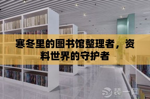 寒冬里的圖書館整理者，資料世界的守護者