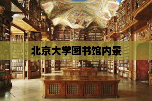 北京大學圖書館內景