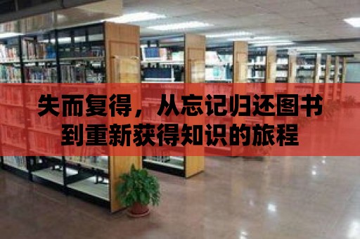 失而復得，從忘記歸還圖書到重新獲得知識的旅程