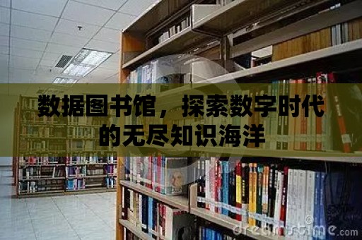 數據圖書館，探索數字時代的無盡知識海洋