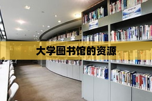 大學圖書館的資源