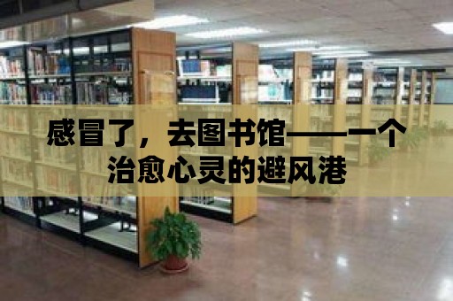 感冒了，去圖書館——一個治愈心靈的避風港