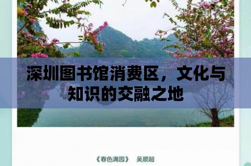 深圳圖書館消費區，文化與知識的交融之地