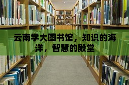 云南學(xué)大圖書館，知識的海洋，智慧的殿堂