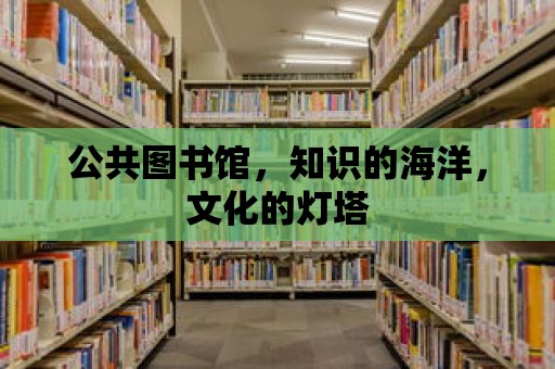 公共圖書館，知識(shí)的海洋，文化的燈塔