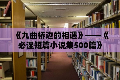 《九曲橋邊的相遇》——《必濕短篇小說集500篇》