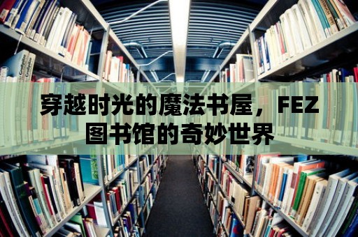 穿越時光的魔法書屋，FEZ圖書館的奇妙世界