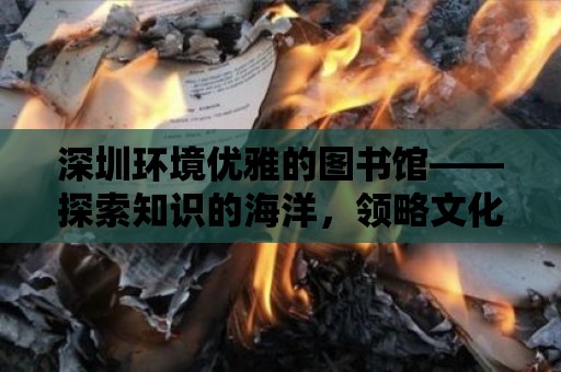 深圳環境優雅的圖書館——探索知識的海洋，領略文化的魅力