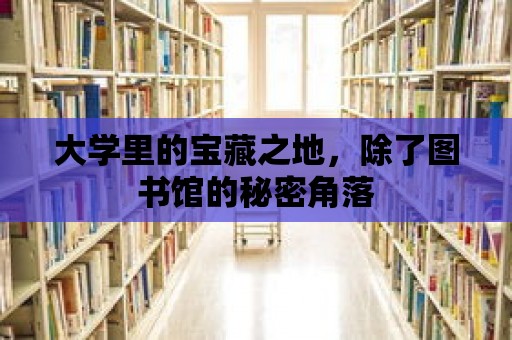 大學里的寶藏之地，除了圖書館的秘密角落