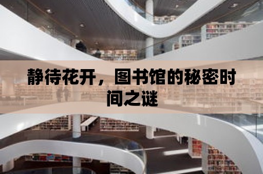 靜待花開，圖書館的秘密時間之謎