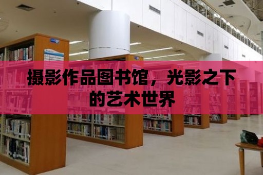 攝影作品圖書館，光影之下的藝術世界