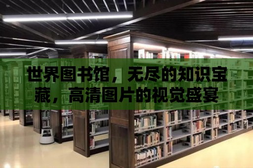 世界圖書館，無盡的知識寶藏，高清圖片的視覺盛宴