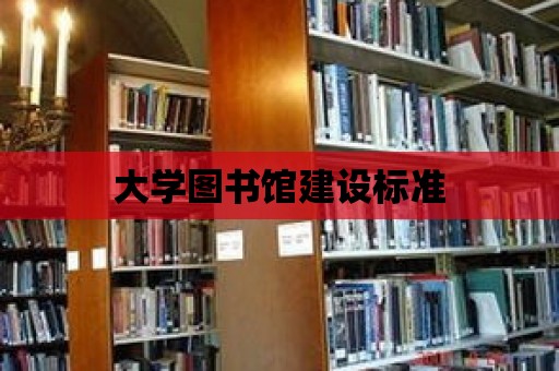 大學(xué)圖書館建設(shè)標(biāo)準(zhǔn)