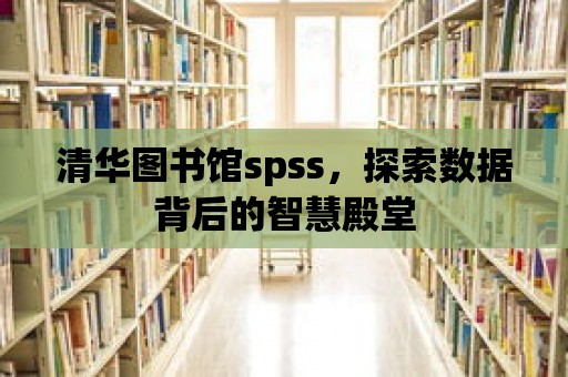 清華圖書館spss，探索數據背后的智慧殿堂