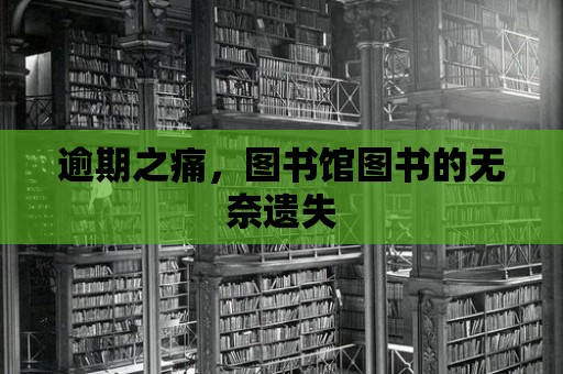 逾期之痛，圖書館圖書的無奈遺失