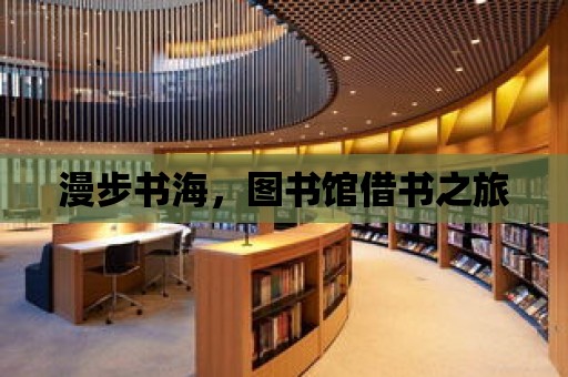 漫步書海，圖書館借書之旅