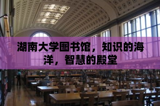 湖南大學圖書館，知識的海洋，智慧的殿堂