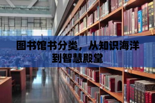 圖書館書分類，從知識海洋到智慧殿堂