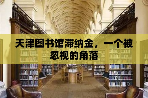 天津圖書館滯納金，一個被忽視的角落