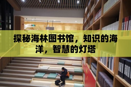 探秘海林圖書館，知識的海洋，智慧的燈塔