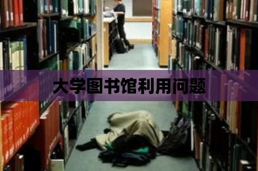 大學(xué)圖書館利用問題