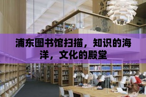 浦東圖書館掃描，知識的海洋，文化的殿堂