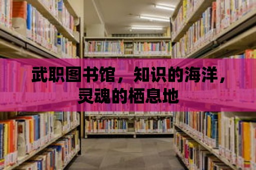 武職圖書館，知識的海洋，靈魂的棲息地