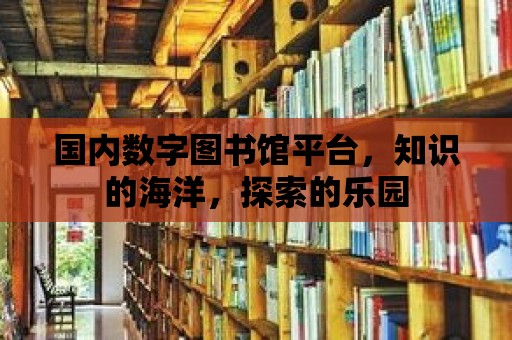 國內數字圖書館平臺，知識的海洋，探索的樂園