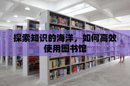 探索知識的海洋，如何高效使用圖書館