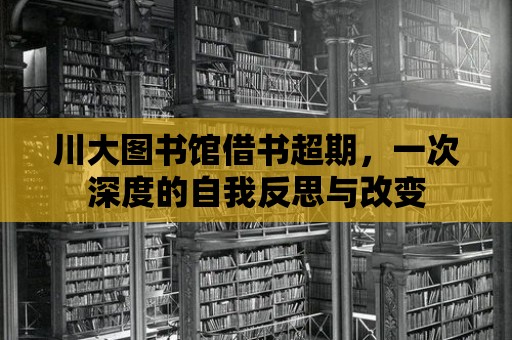 川大圖書館借書超期，一次深度的自我反思與改變