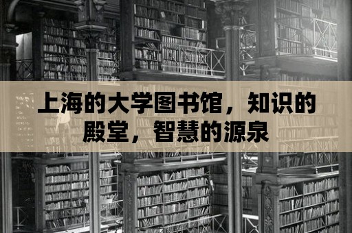 上海的大學圖書館，知識的殿堂，智慧的源泉