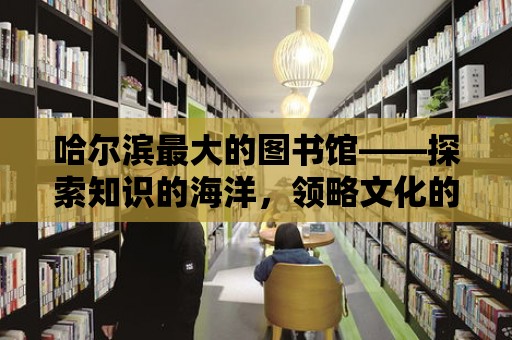 哈爾濱最大的圖書館——探索知識的海洋，領略文化的魅力