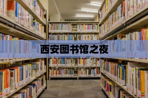 西安圖書館之夜