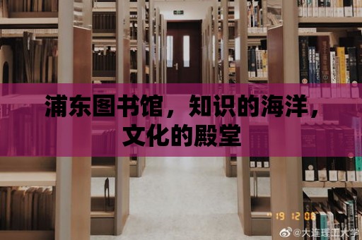 浦東圖書館，知識的海洋，文化的殿堂