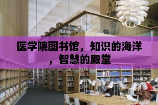 醫學院圖書館，知識的海洋，智慧的殿堂