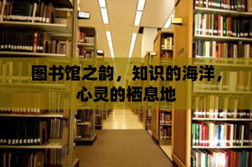 圖書館之韻，知識(shí)的海洋，心靈的棲息地