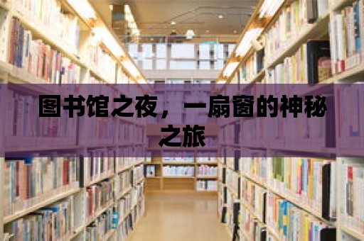 圖書館之夜，一扇窗的神秘之旅