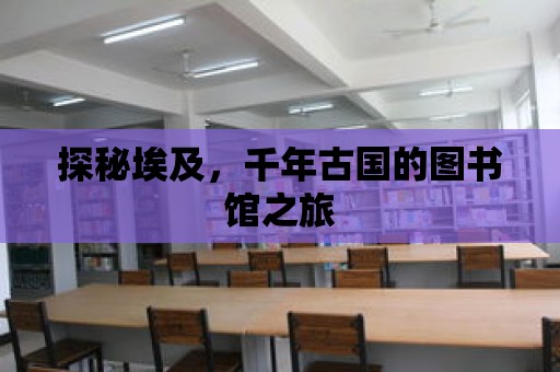 探秘埃及，千年古國的圖書館之旅