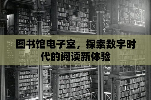 圖書(shū)館電子室，探索數(shù)字時(shí)代的閱讀新體驗(yàn)