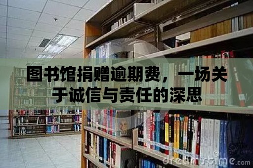 圖書館捐贈逾期費，一場關于誠信與責任的深思