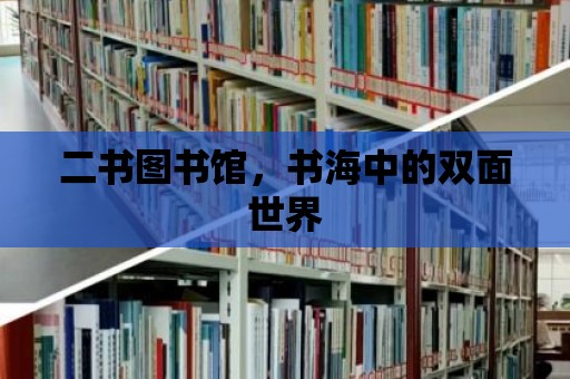 二書圖書館，書海中的雙面世界