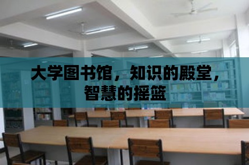 大學(xué)圖書館，知識的殿堂，智慧的搖籃