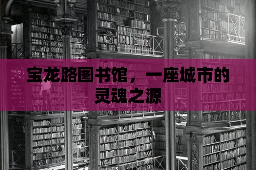 寶龍路圖書館，一座城市的靈魂之源