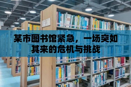 某市圖書館緊急，一場突如其來的危機與挑戰