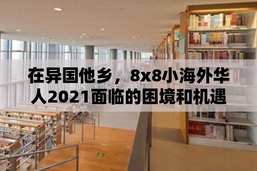 在異國他鄉，8x8小海外華人2021面臨的困境和機遇