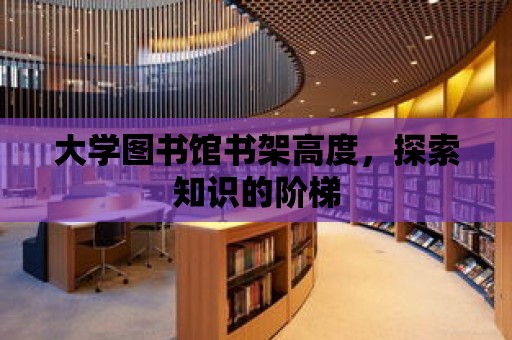 大學圖書館書架高度，探索知識的階梯