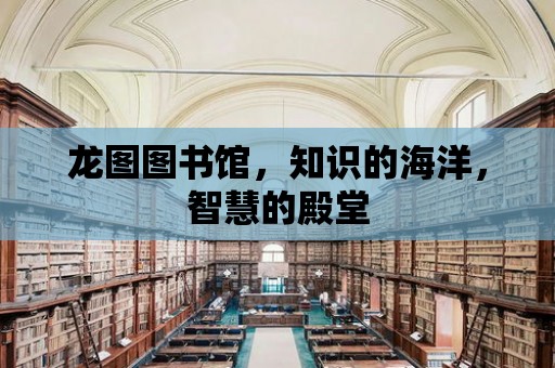 龍圖圖書館，知識的海洋，智慧的殿堂