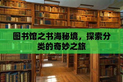 圖書館之書海秘境，探索分類的奇妙之旅