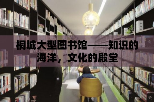 桐城大型圖書館——知識的海洋，文化的殿堂