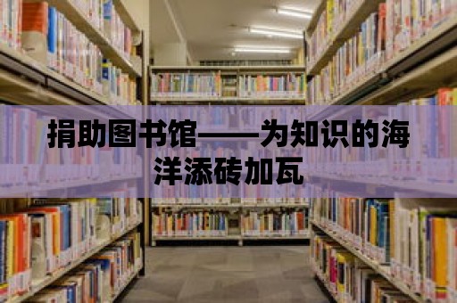 捐助圖書館——為知識(shí)的海洋添磚加瓦